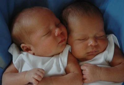 Two newborn babies resting peacefully together